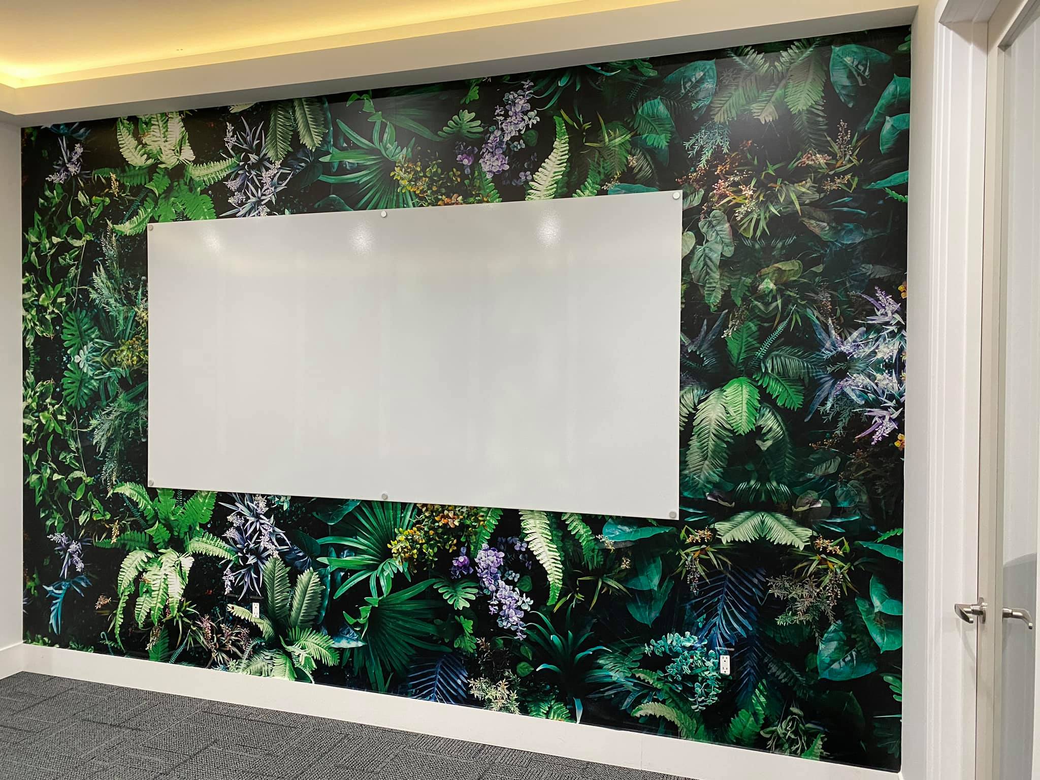 74455863_2378249625617816_3283192139160223744_o